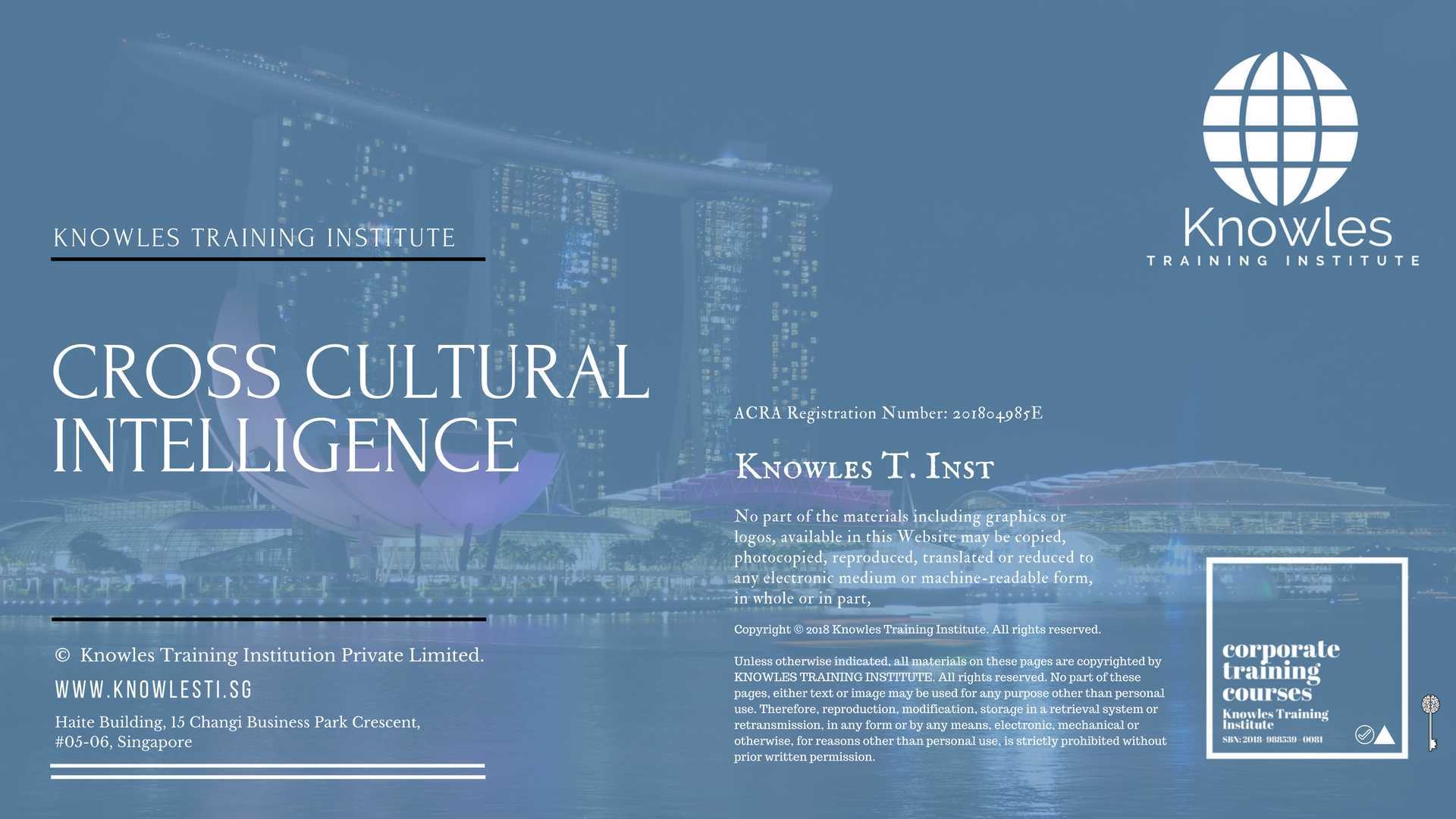 Cross Cultural Intelligence Training Course in Germany
